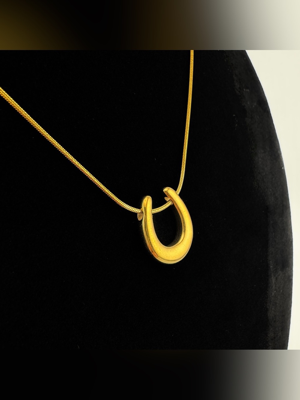 NWT Horse Shoe Necklace